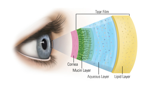 How the Tear Film affects dry eye syndrome