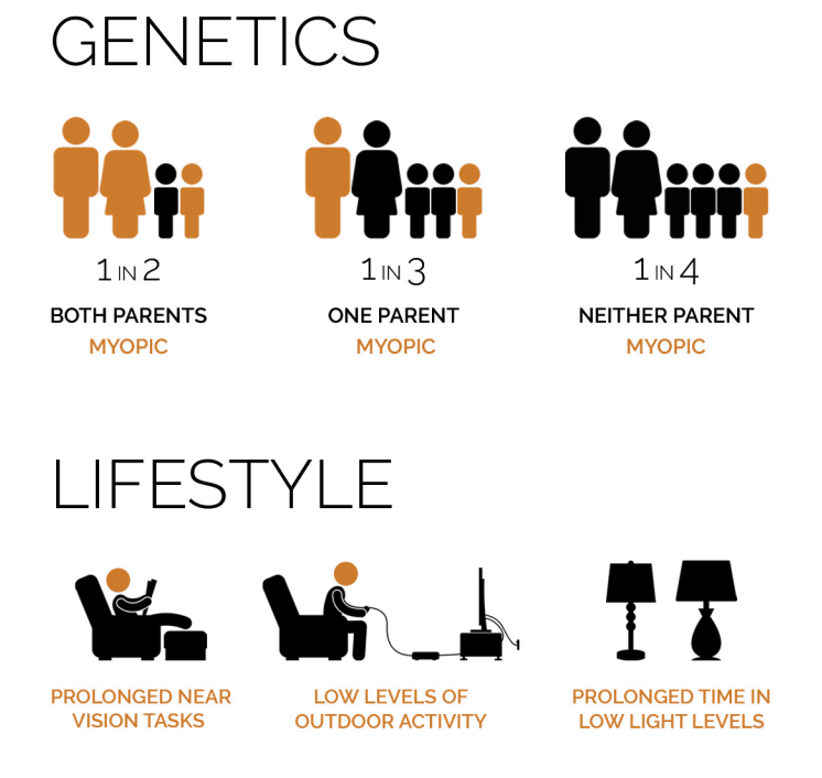 Diagram showing the lifestyle and genetic causes of Myopia